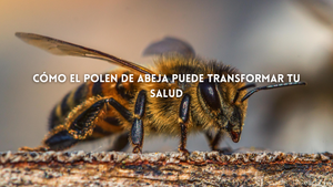 Cómo el Polen de Abeja Puede Transformar Tu Salud