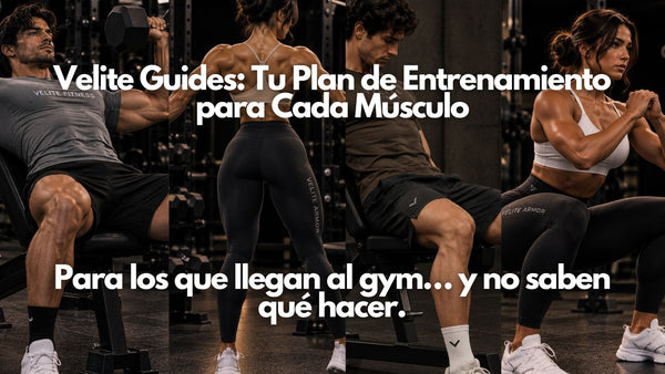 NEW Velite Guides: Tu Plan de Entrenamiento para Cada Músculo