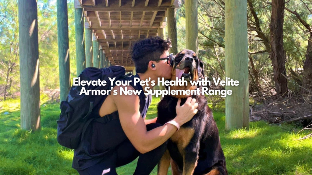 Elevate Your Pet's Health with Velite Armor's New Supplement Range