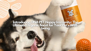 Introducing DNA PET Happy Immunity: The Ultimate Organic Boost for Your Pet's Well-being