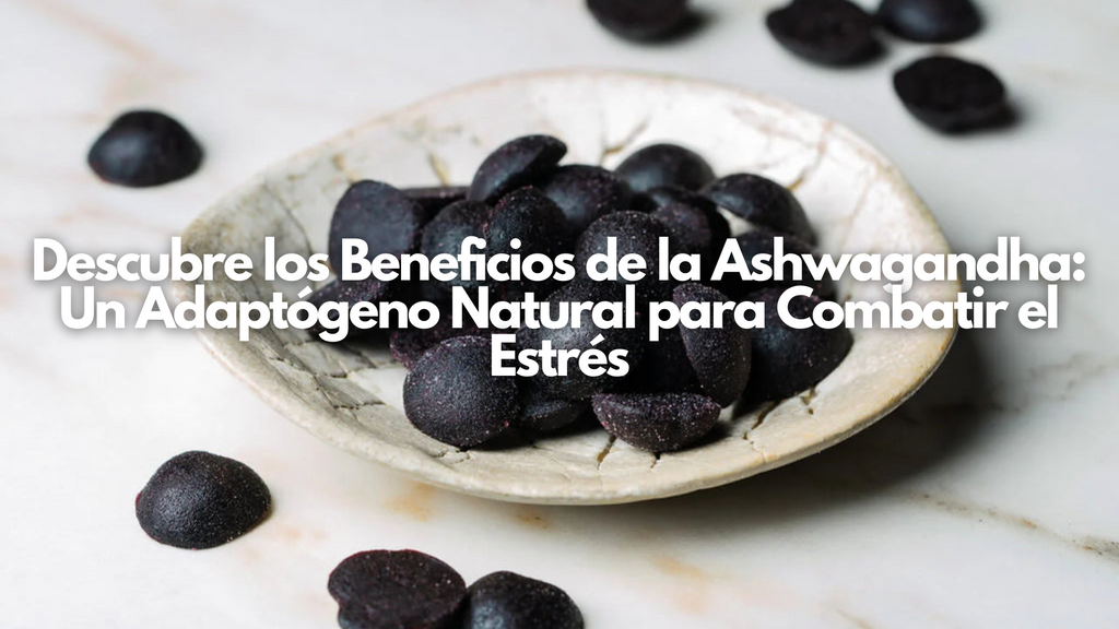 Descubre los Beneficios de la Ashwagandha: Un Adaptógeno Natural para Combatir el Estrés