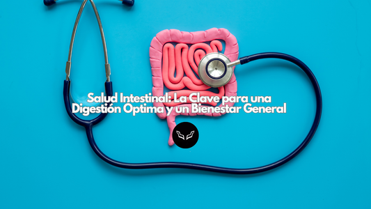 Representación de un sistema digestivo en plastilina de color rosa con un estetoscopio azul sobre fondo celeste, ilustrando la importancia de la salud intestinal para una digestión óptima y bienestar general.