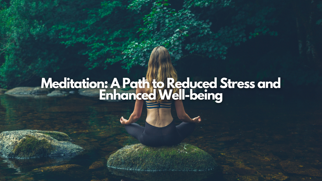 Peaceful morning meditation in nature, highlighting the stress-reducing and well-being benefits of daily mindfulness.

