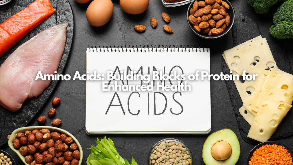 Amino Acids: Building Blocks of Protein for Enhanced Health