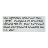 Tru Defense Pineapple Sparkling Water – Immune Boosting Seltzer - Case Of 12-12 Fz