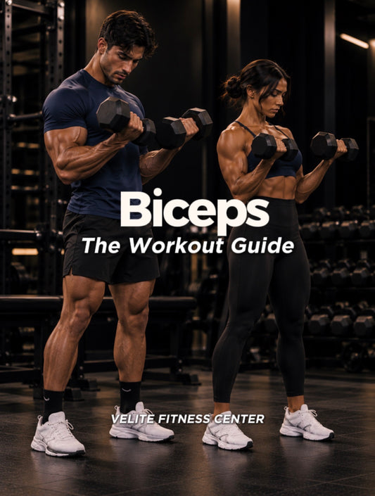 BÍCEPS — The Workout Guide | Velite Fitness