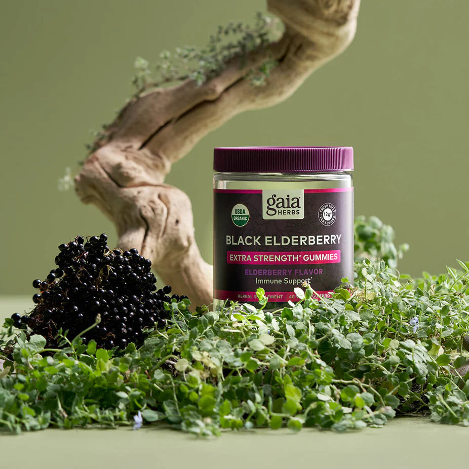 Black Elderberry Extra Strength Gummies - 120 ct (COG) jar displayed among fresh elderberries and herbs, highlighting its plant-based immune support.