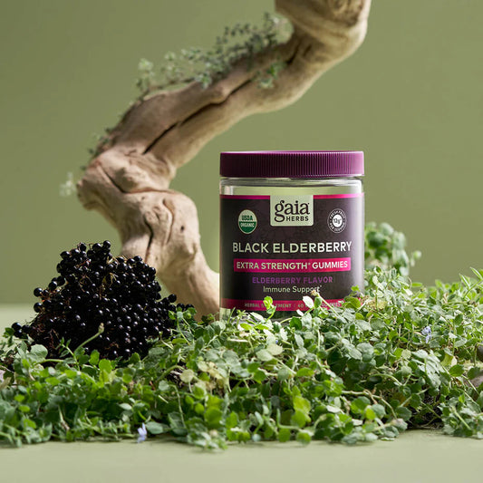 Black Elderberry Extra Strength Gummies - 120 ct (COG) jar displayed among fresh elderberries and herbs, highlighting its plant-based immune support.