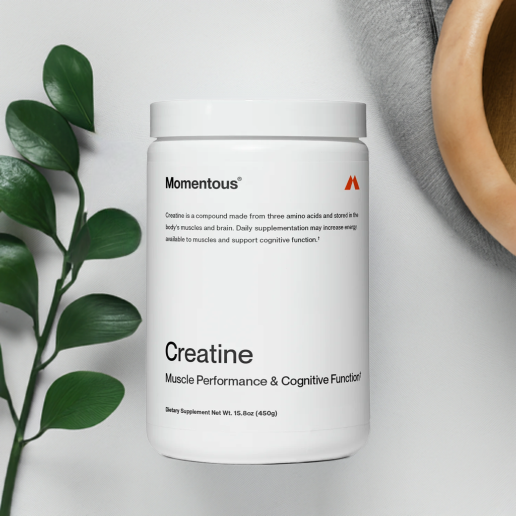 Momentous Creatine bottle placed beside a plant and bowl, highlighting its clean, minimalist packaging for fitness and brain health support.