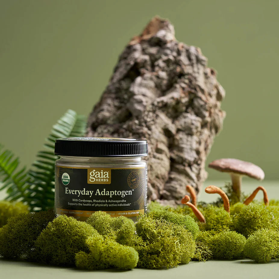 Everyday Adaptogen - 3.5 oz by Gaia Herbs displayed in a natural setting with moss, mushrooms, and bark, emphasizing its herbal ingredients.