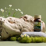 Gaia Herbs Gas & Bloating en una ambientación natural con musgo, flores de manzanilla y madera, resaltando su composición herbal y beneficios digestivos.