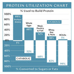 Perfect Amino Tabletas - BodyHealth