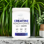 Type Zero Creatine Monohydrate Powder