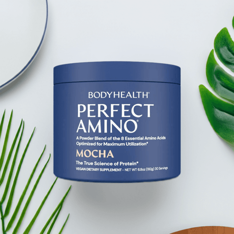 Perfect Amino Powder Mocha - BodyHealth