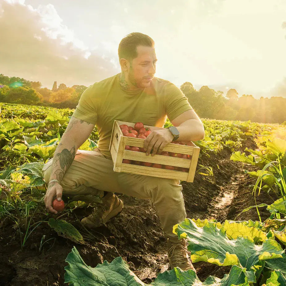 Man harvesting vegetables in a field at sunset, representing the natural, farm-sourced ingredients in Turmeric Supreme® Pain - ACTIVE LIFESTYLE.