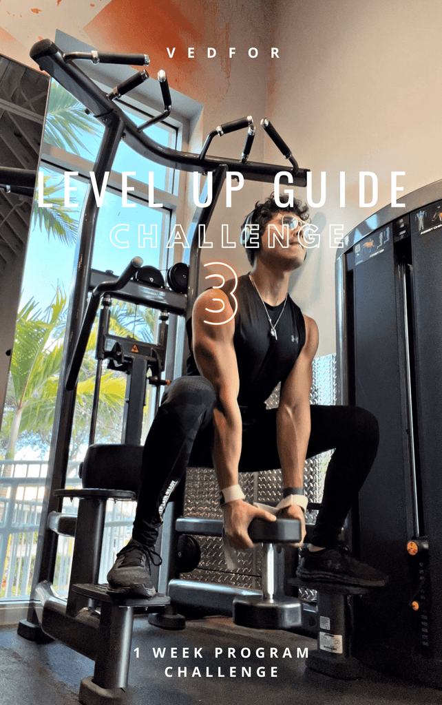 Level Up Guide 3: No Weights Workout Challenge for Total Body Fitness ...